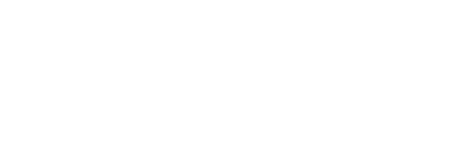 Shipshape Data